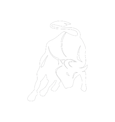 White OXEN